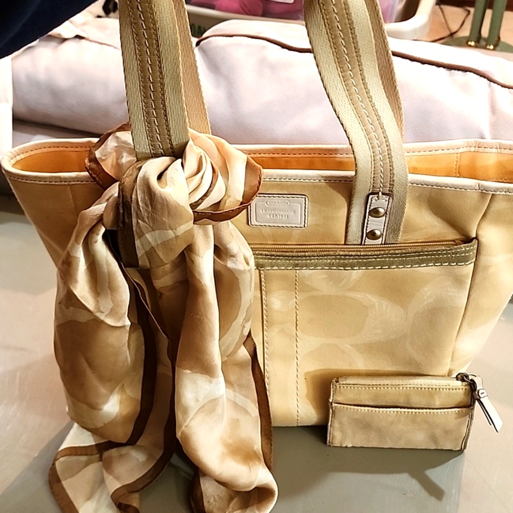 Coach bag, scarf and compartment case